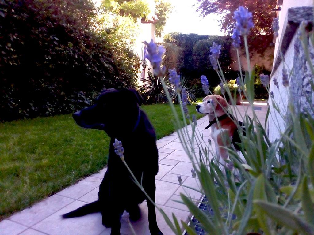 카이로 몬테노테 Al Giardino Degli Artisti B&B 외부 사진